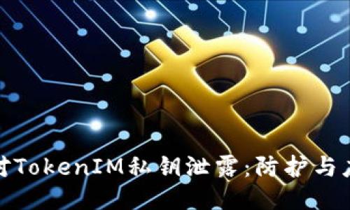 如何应对TokenIM私钥泄露：防护与应急措施
