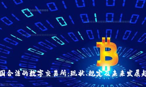 中国合法的数字交易所：现状、规定及未来发展趋势