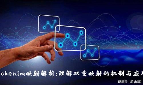 Tokenim映射解析：理解双重映射的机制与应用
