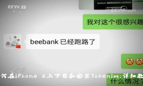 如何在iPhone 6上下载和安装Tokenim：详细教程