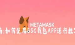初学者指南：如何使用B