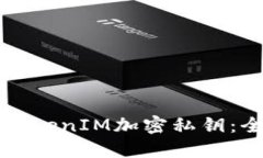 如何使用TokenIM加密私钥：