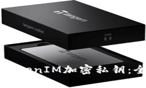如何使用TokenIM加密私钥：全方位指南