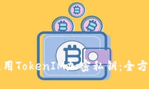 如何使用TokenIM加密私钥：全方位指南