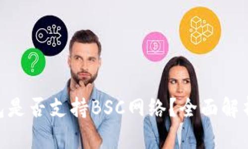 Tokenim钱包是否支持BSC网络？全面解析及使用指南