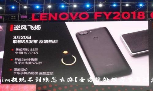 Tokenim提现不到账怎么办？全方位处理方案与注意事项