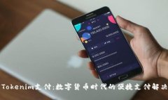 解密Tokenim支付：数字货币