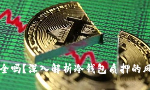 质押冷钱包安全吗？深入解析冷钱包质押的风险与防护措施