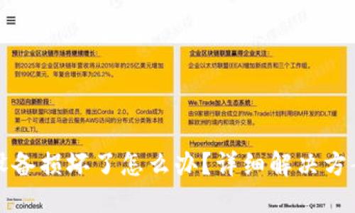 外一冷钱包设备损坏了怎么办？详细解决方案与维护指南