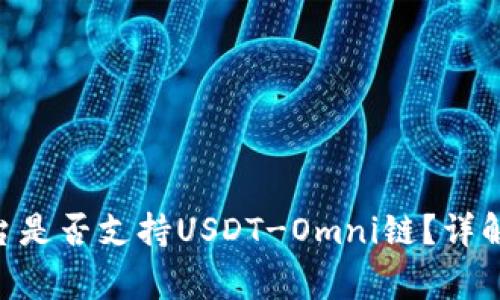 Tokenim平台是否支持USDT-Omni链？详解与常见问题