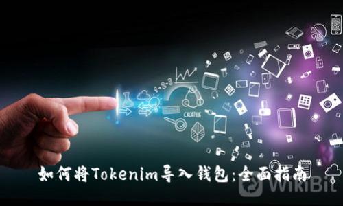 如何将Tokenim导入钱包：全面指南