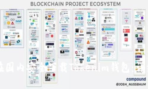 如何在国内安全下载Tokenim钱包：详细指南