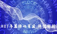 狗狗币在2021年暴涨的背后