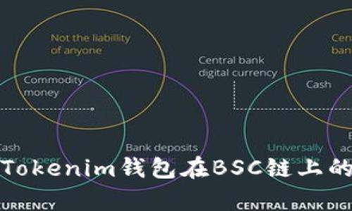 全面解析Tokenim钱包在BSC链上的使用教程