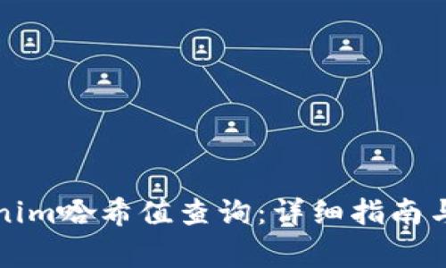如何进行Tokenim哈希值查询：详细指南与常见问题解答