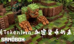 深入解析Tokenima：加密货币