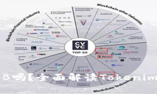 Tokenim支持BNB吗？全面解读Tokenim与BNB的兼容性