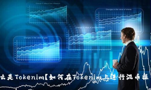 什么是Tokenim？如何在Tokenim上进行混币操作？