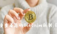 如何安全查看您的Tokenim私