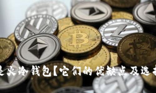 什么是火冷钱包？它们的优缺点及选择指南