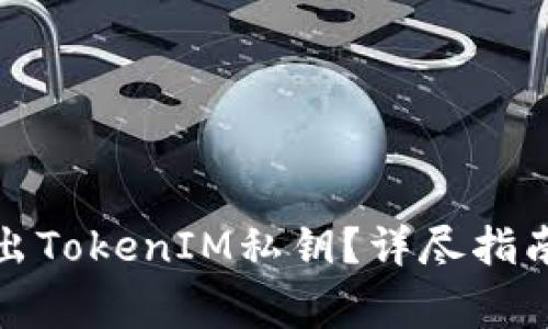 如何安全导出TokenIM私钥？详尽指南与注意事项