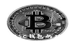 Tokenim支持BSC钱包的功能与