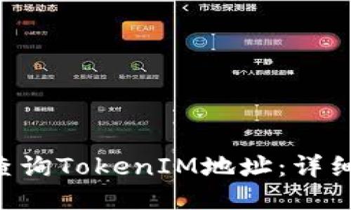ziaoti如何查询TokenIM地址：详细指南与技巧