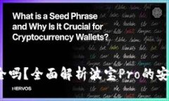 波宝Pro安全吗？全面解析波宝Pro的安全性与风险