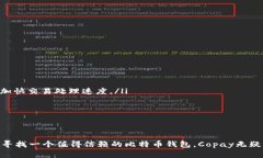    如何在Android设备上下载和安装Copay钱包  /  gu