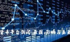 数字货币平台倒闭：原因、影响与未来展望