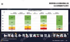 如何通过冷钱包查找公链信息：详细指南