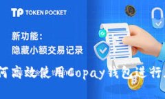 全面指南：如何高效使用Copay钱包进行加密货币管