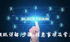 :欧意钱包提现详解：步骤、注意事项及常见问题