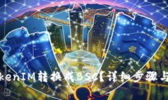 如何将TokenIM转换成BSC？详