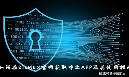 如何在BitMEX官网获取中文APP及其使用指南
