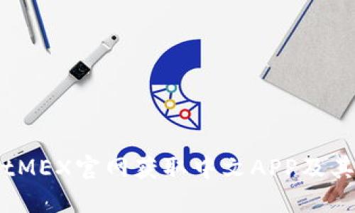 如何在BitMEX官网获取中文APP及其使用指南