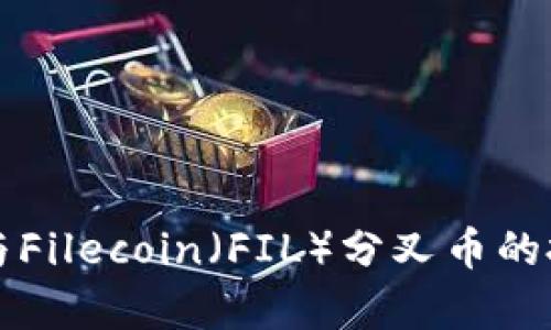 冷钱包存储与Filecoin（FIL）分叉币的投资策略分析