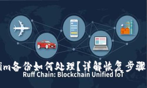 丢失Tokenim备份如何处理？详解恢复步骤与安全建议