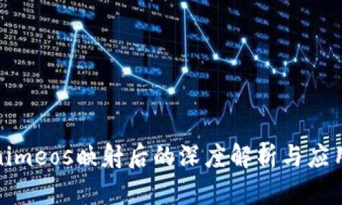 Tokenimeos映射后的深度解析与应用实例