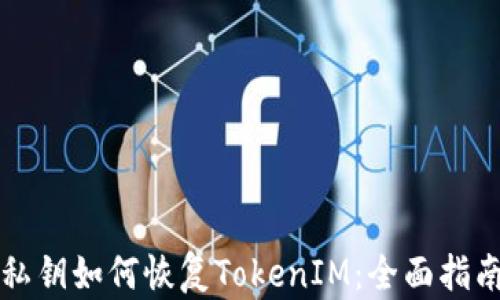 
私钥如何恢复TokenIM：全面指南