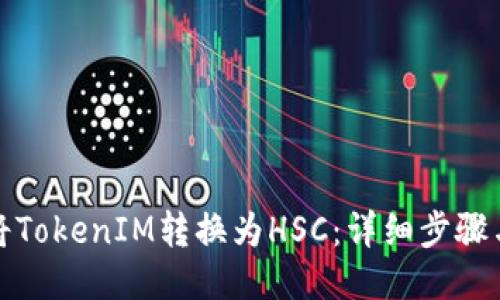 如何将TokenIM转换为HSC：详细步骤与技巧