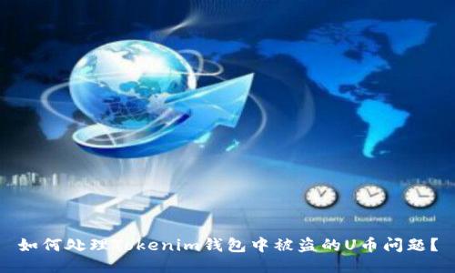 如何处理Tokenim钱包中被盗的U币问题？