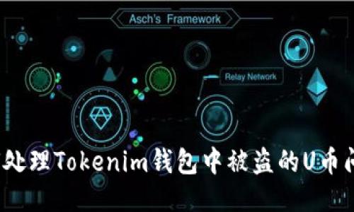 如何处理Tokenim钱包中被盗的U币问题？