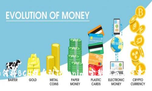 如何将BCH提币到Tokenim：完整指南与注意事项