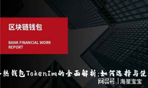 冷热钱包TokenIm的全面解析：如何选择与使用