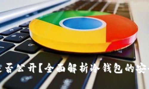 冷钱包地址是否公开？全面解析冷钱包的安全性与隐私性