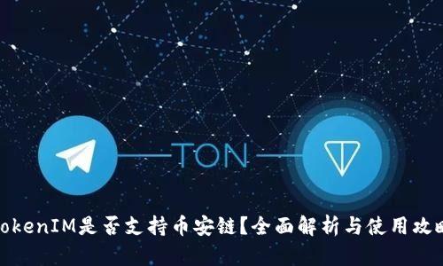 TokenIM是否支持币安链？全面解析与使用攻略