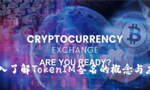 深入了解TokenIM签名的概念与应用