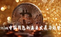 Tokenim中国钱包的未来发展