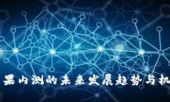 国内苹果内测的未来发展趋势与机会分析